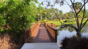 Peace Mound Park Weston Review